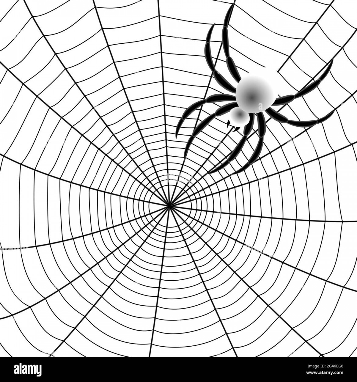 Spider web abstract drawing, vector illustration EPS  Stock