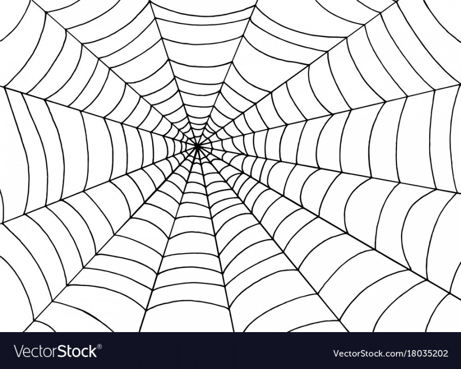 Spider web background doodle sketch art Royalty Free Vector