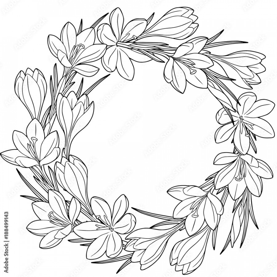 Spring flower wreath of crocuses. Coloring book for adult