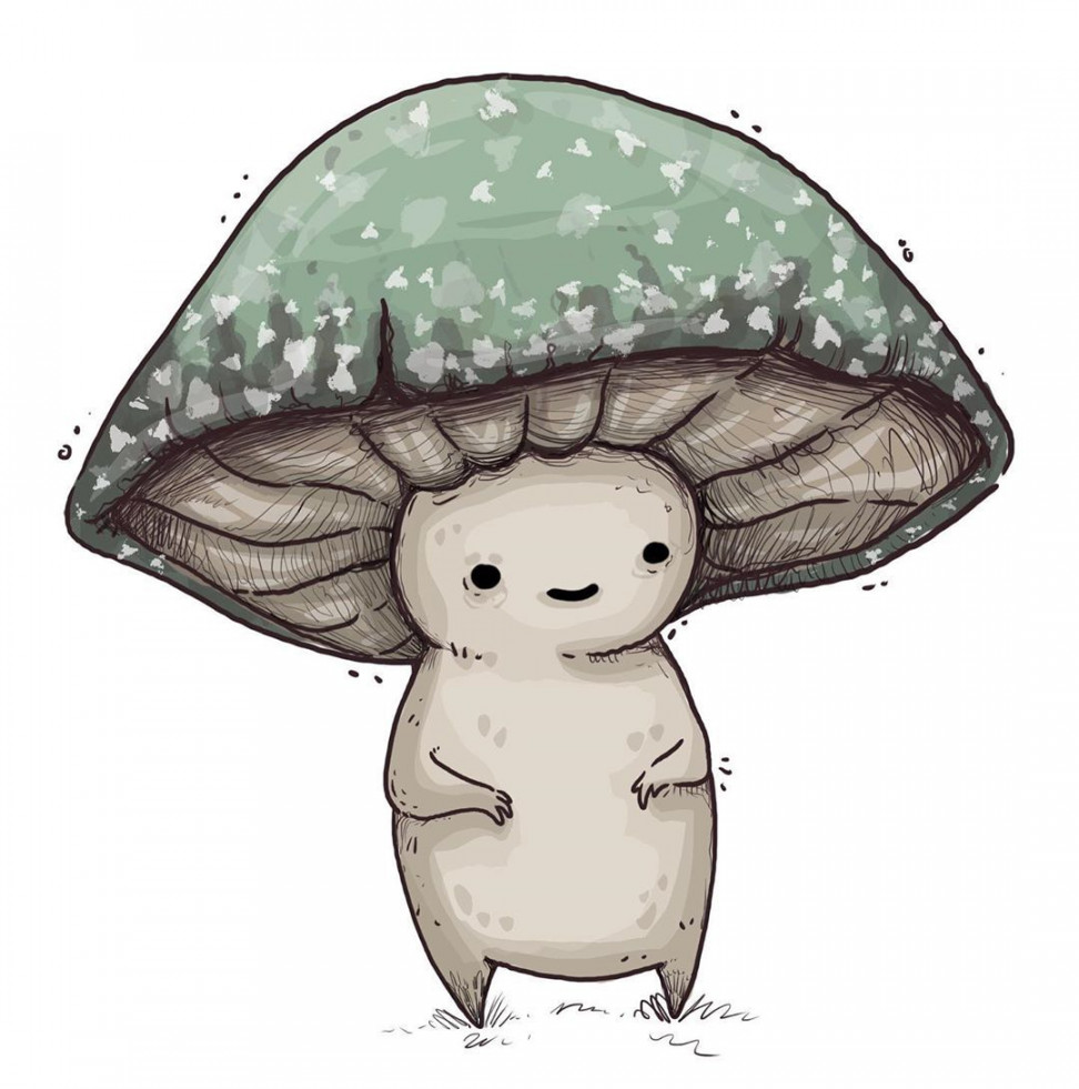 Stephanie Bayles 🖤 Illustrator on Instagram: “🍄✨ #mushroom