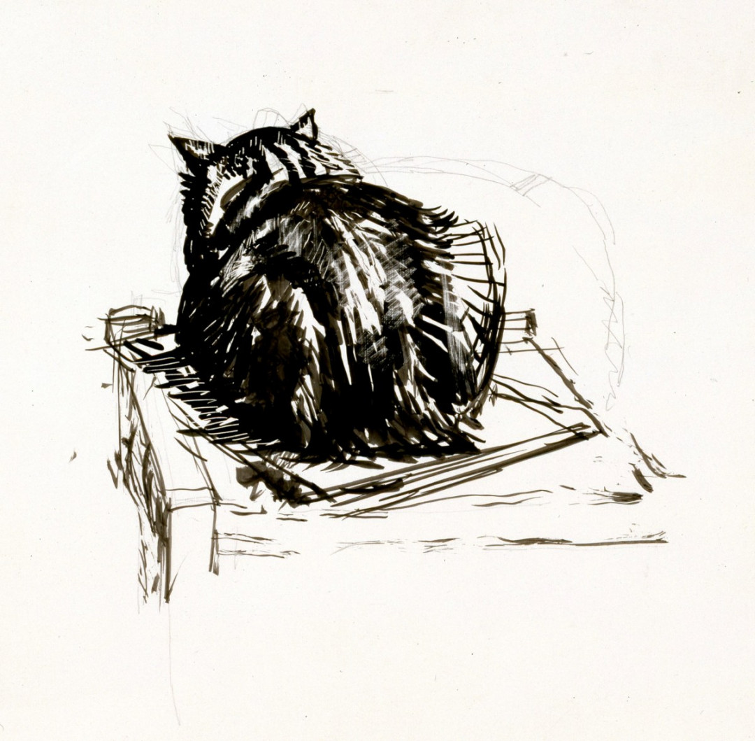 Study of a cat viewed from the back  Works of Art  RA Collection