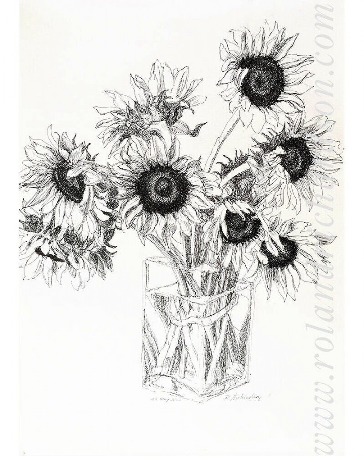 Sunflowers Pen and Ink — Roland Richardson