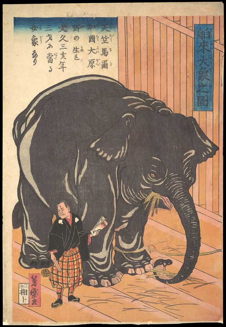 Taguchi (Utagawa) Yoshimori  View of the Large Imported Elephant