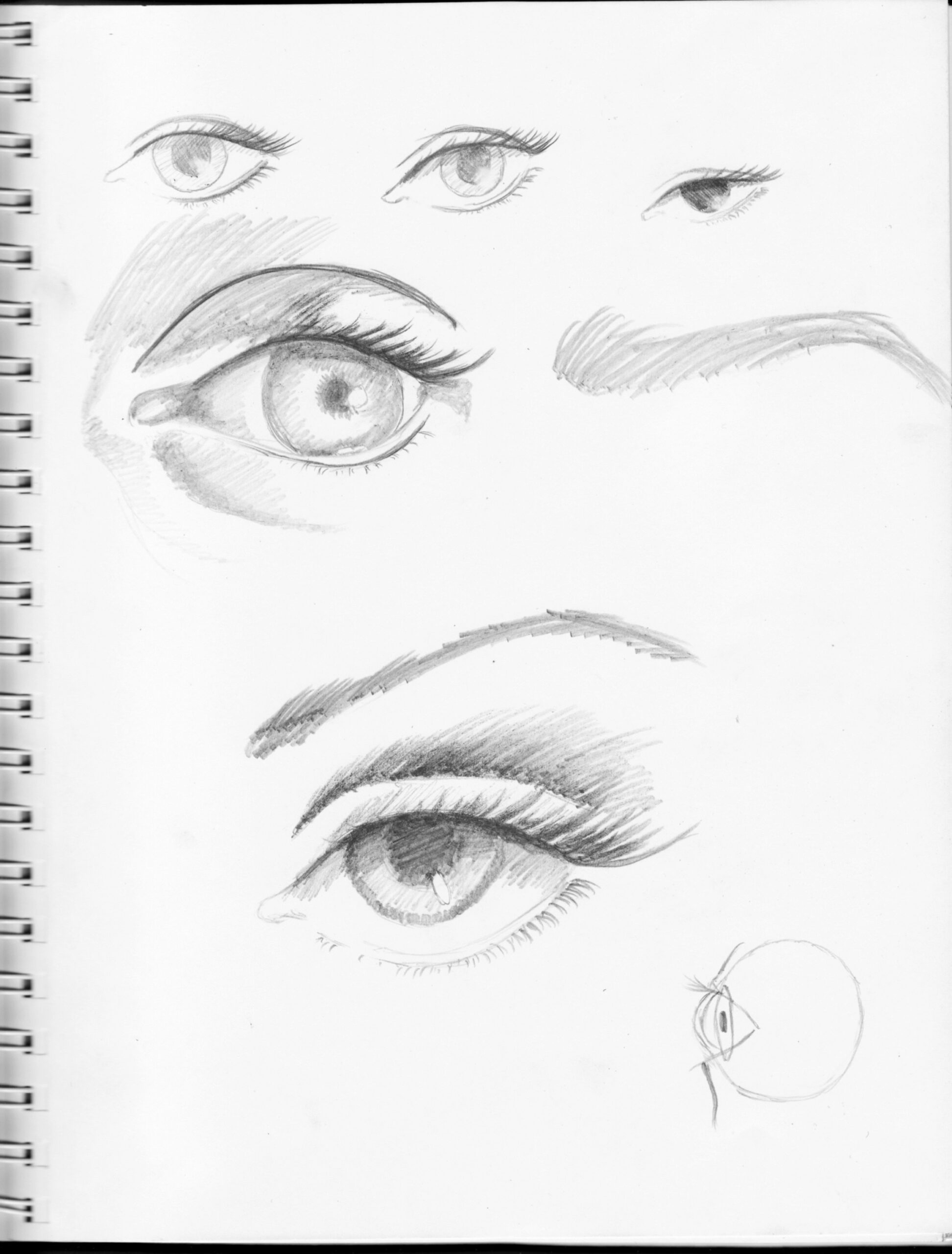 The Eye Step by Step  The Artist In Me