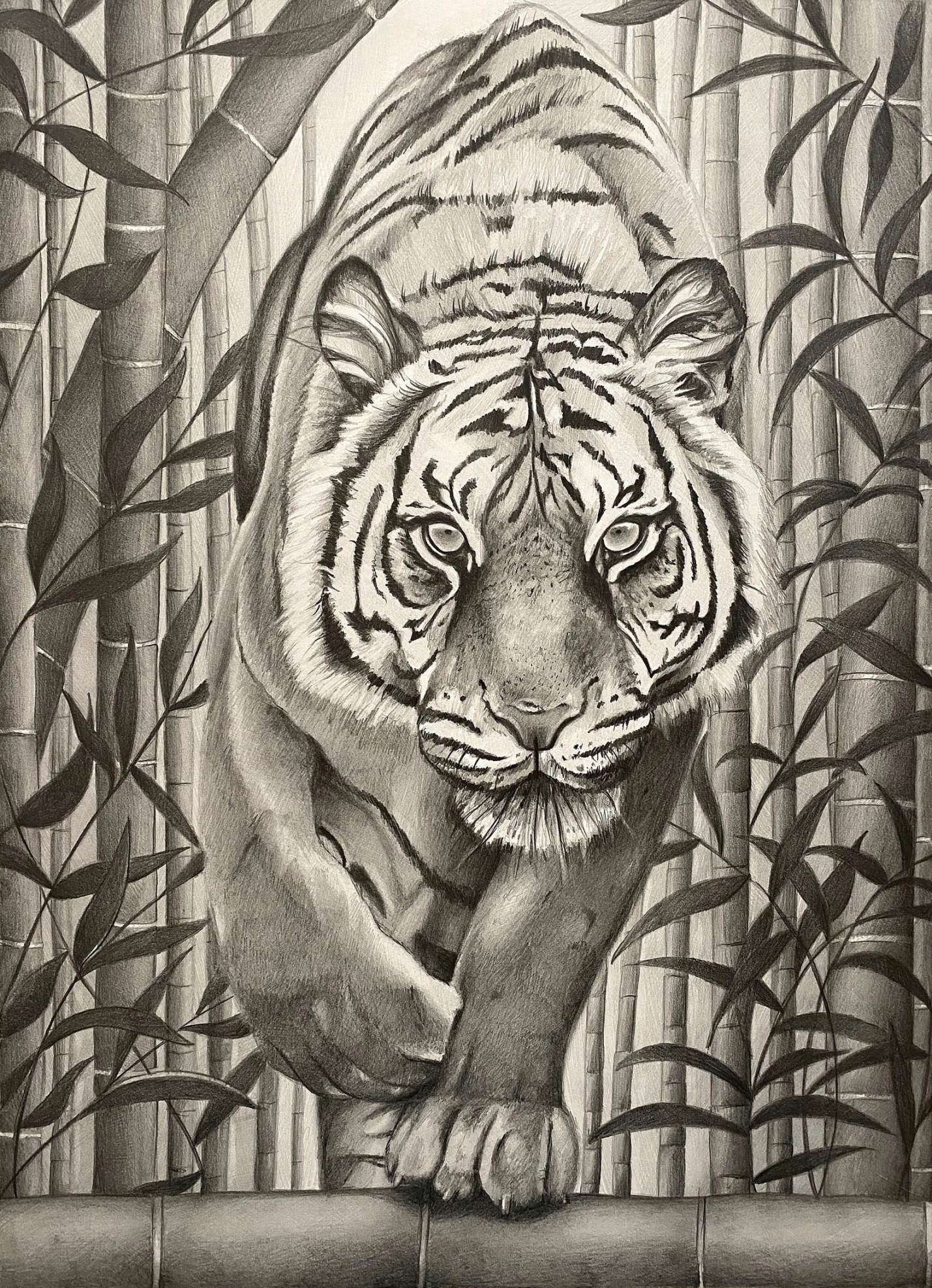 The Path Art Print Tiger Illustration Bamboo Jungle Art - Etsy