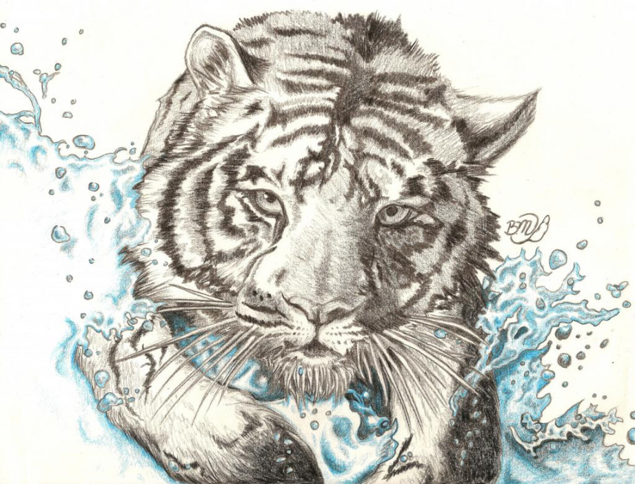 Tiger In The Water by MakiBrittney on DeviantArt
