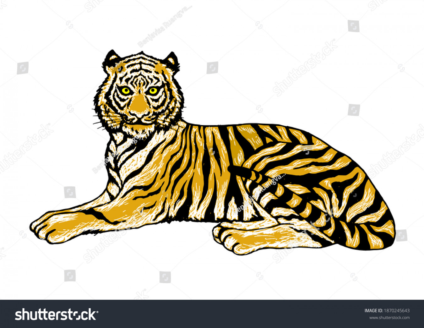 Tiger Sitting Illustration Design Hand Drawing Stock Illustration