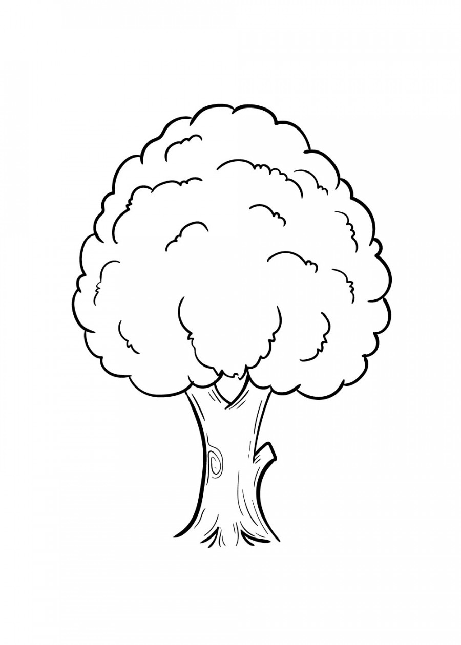 Tree Drawing - How To Draw A Tree Step By Step!