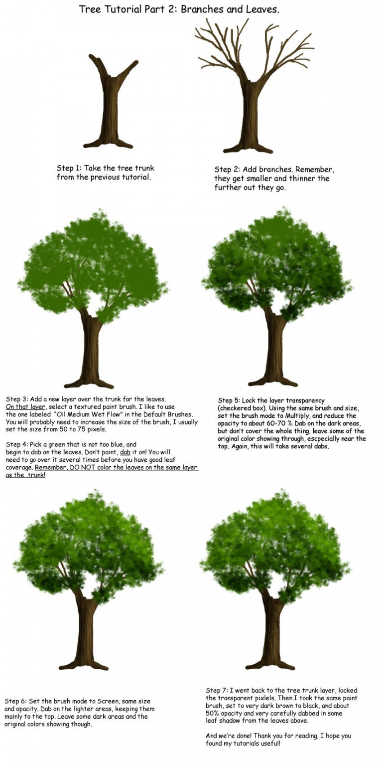 Tree tutorial Part  by Tephra on deviantART  Trees drawing