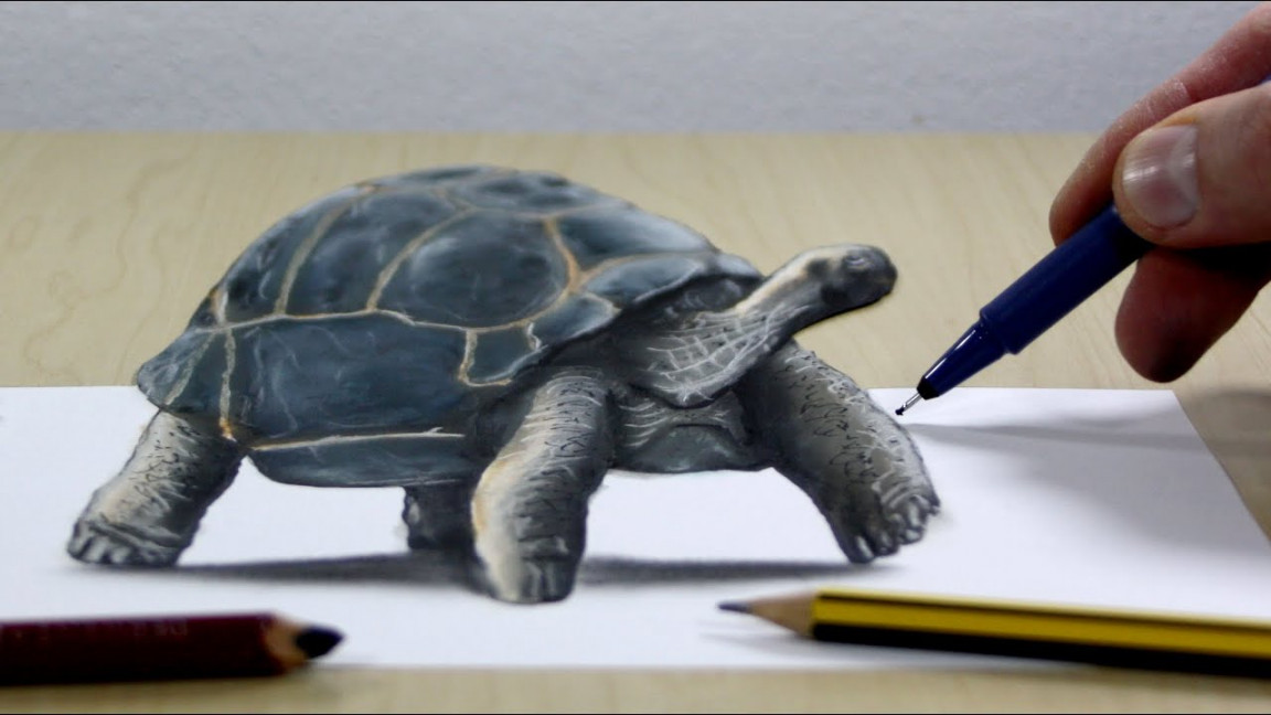 Trick Art on Paper, Painting D Turtle