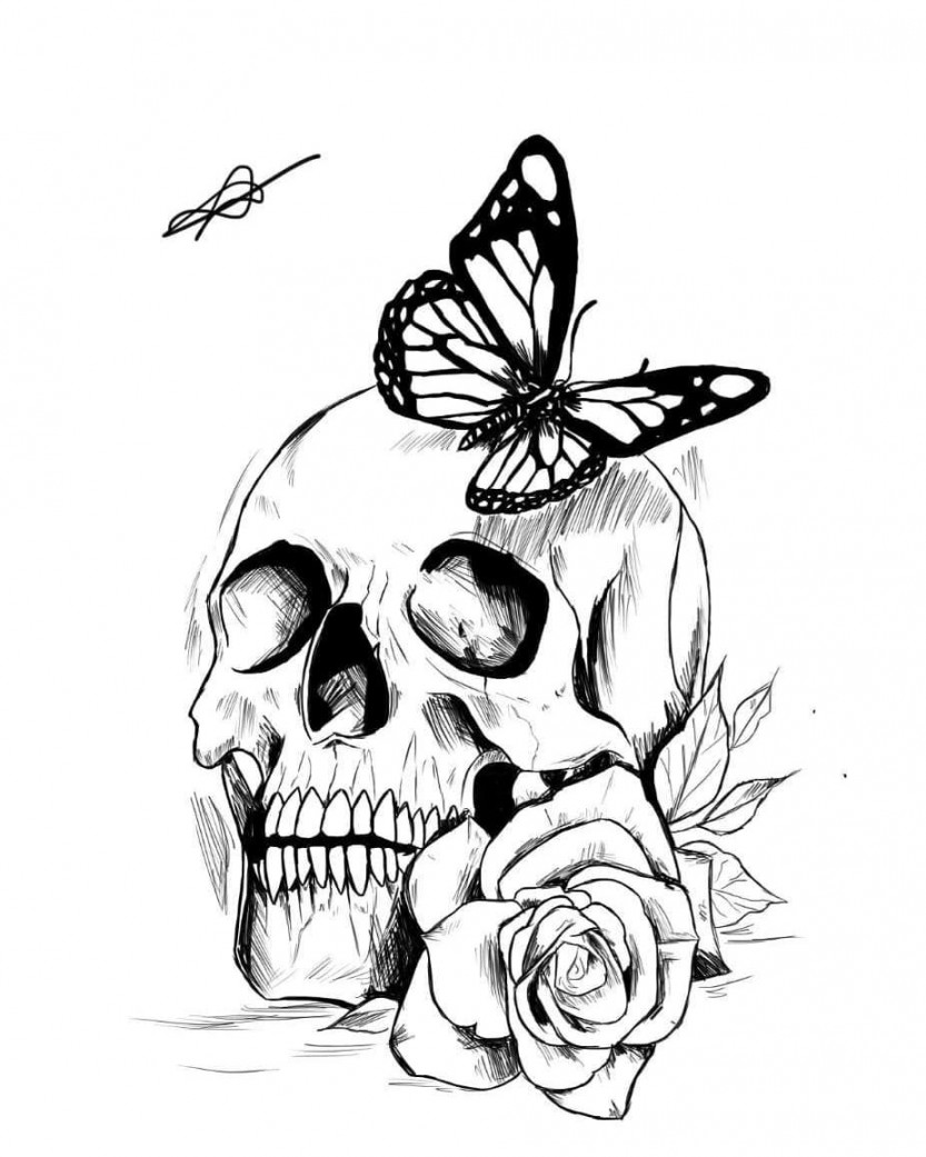 Tumblr  Skull art drawing, Skull tattoo, Skull art