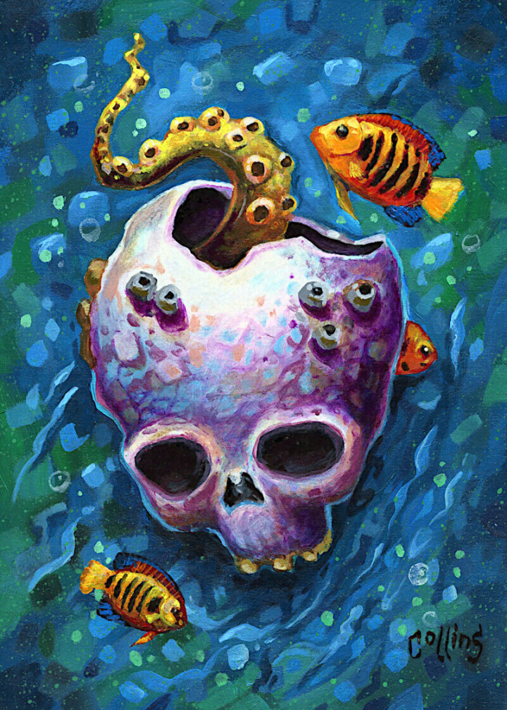 Underwater Skull Octopus Fish Aquarium Scuba Wall Art Print