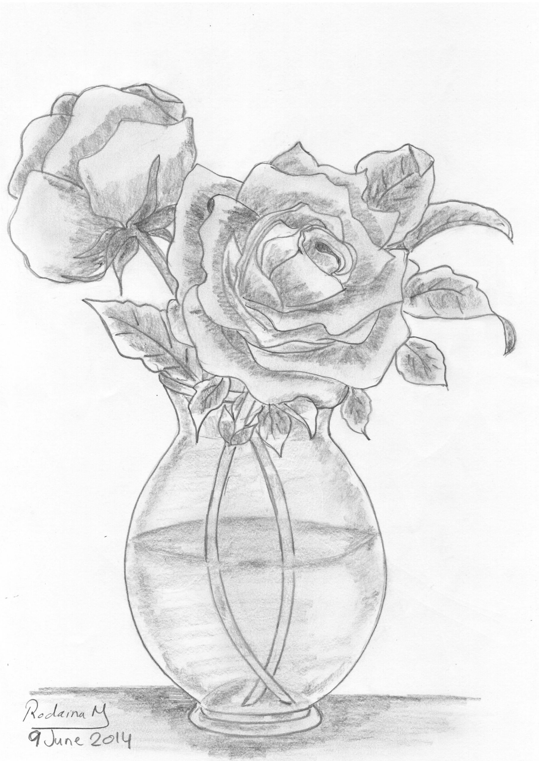 vase of roses drawn in  #pencil #sketch #roses #flowers #vase