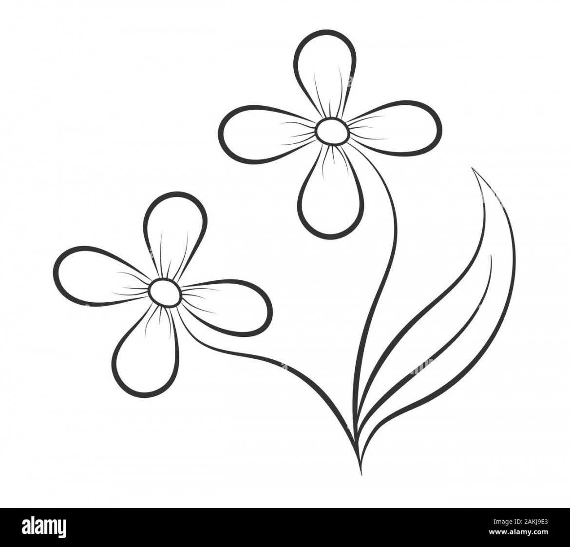 Vector drawing of a flower in Doodle style for postcards, posters