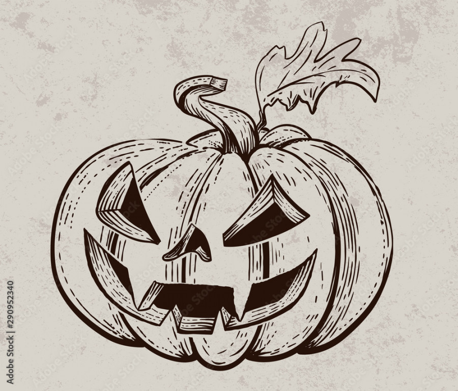 Vector Halloween pumpkin. Hand drawn illustration