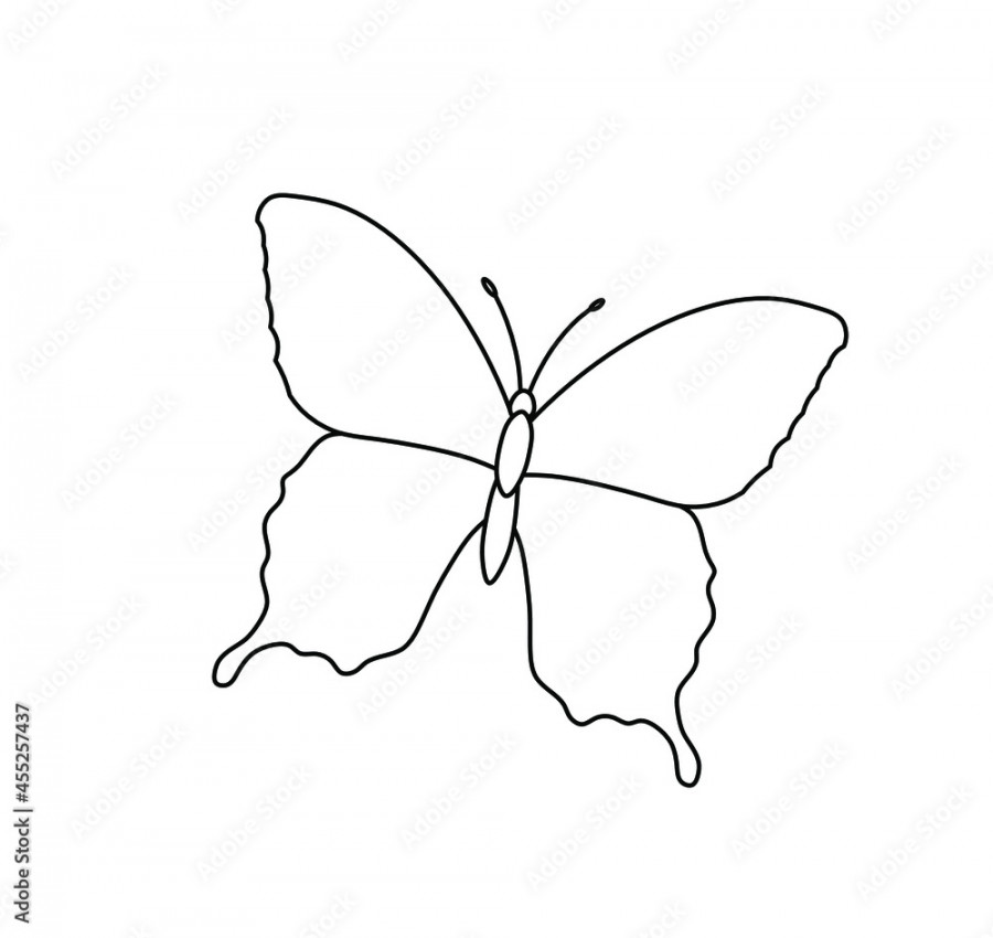 Vector isolated butterfly silhouette line drawing