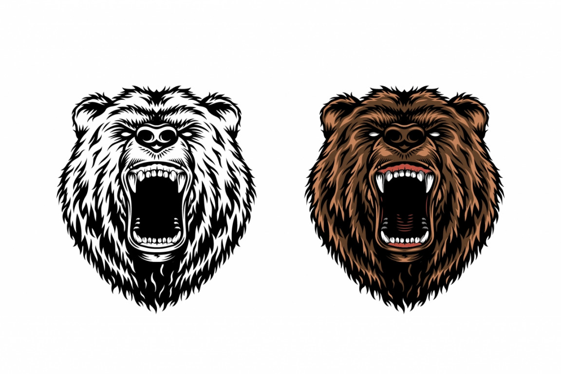 Vintage Angry Bear Head Design