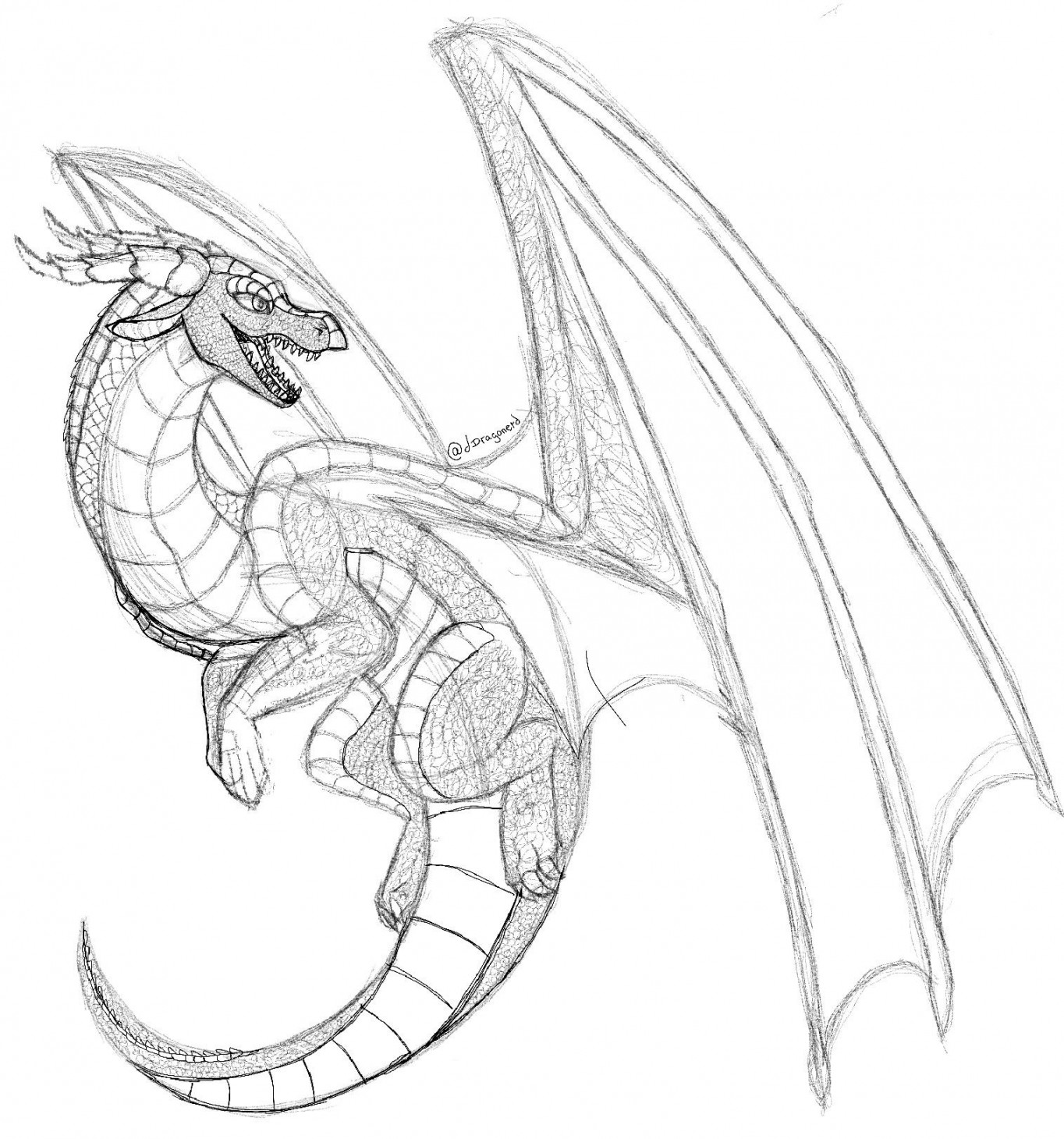 Wanted to draw a dragon in WOF style : r/dragons