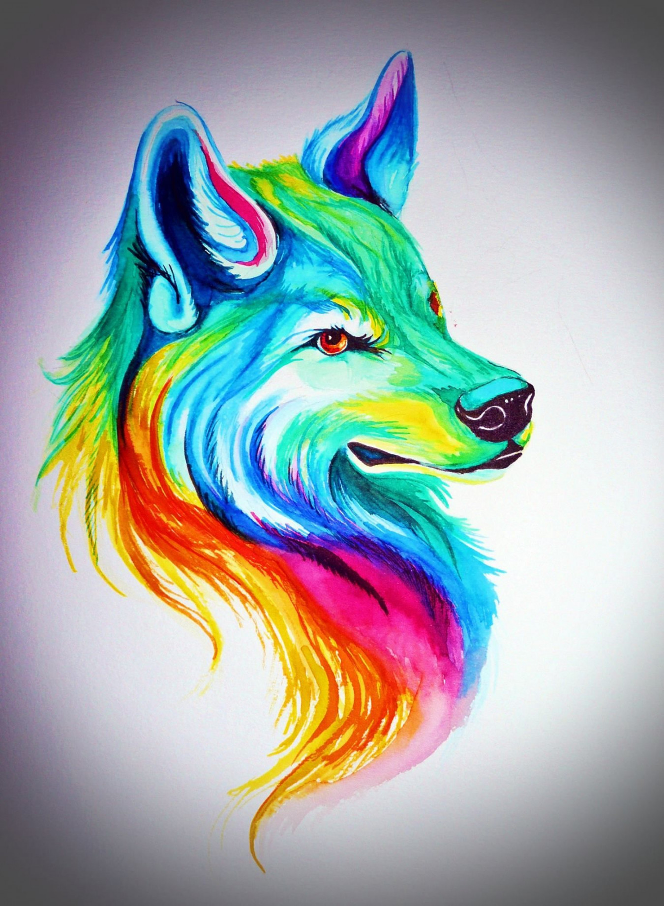 Watercolor Wolf  Wolf drawing, Wolf painting, Wolf art