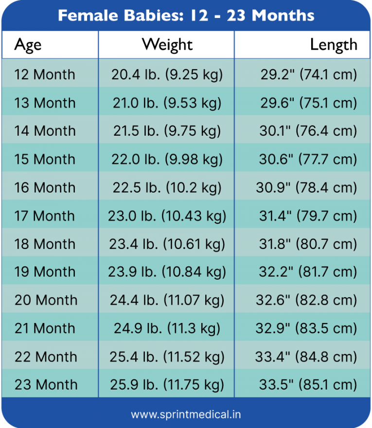 Weight Chart for Kids: Understanding Baby Weight Charts  Sprint