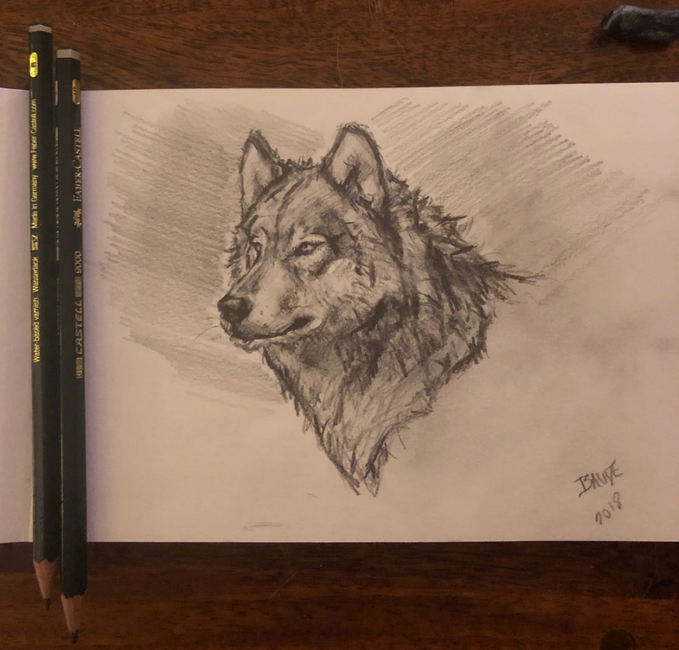 Wolf drawing portrait - .x