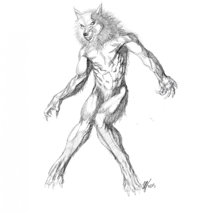 wolf human by terminator on DeviantArt