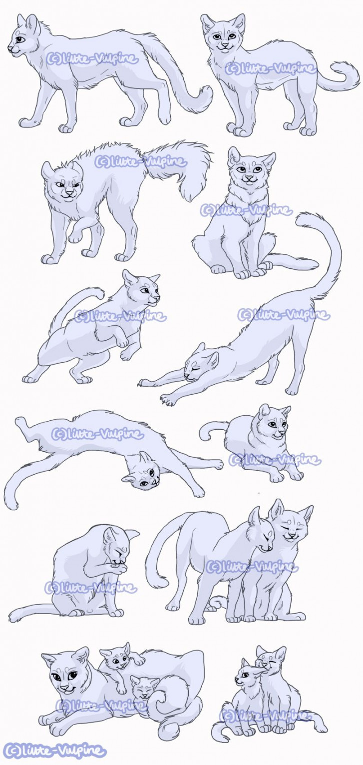 x Cat pose pack by LittleVulpine on DeviantArt  Warrior cat