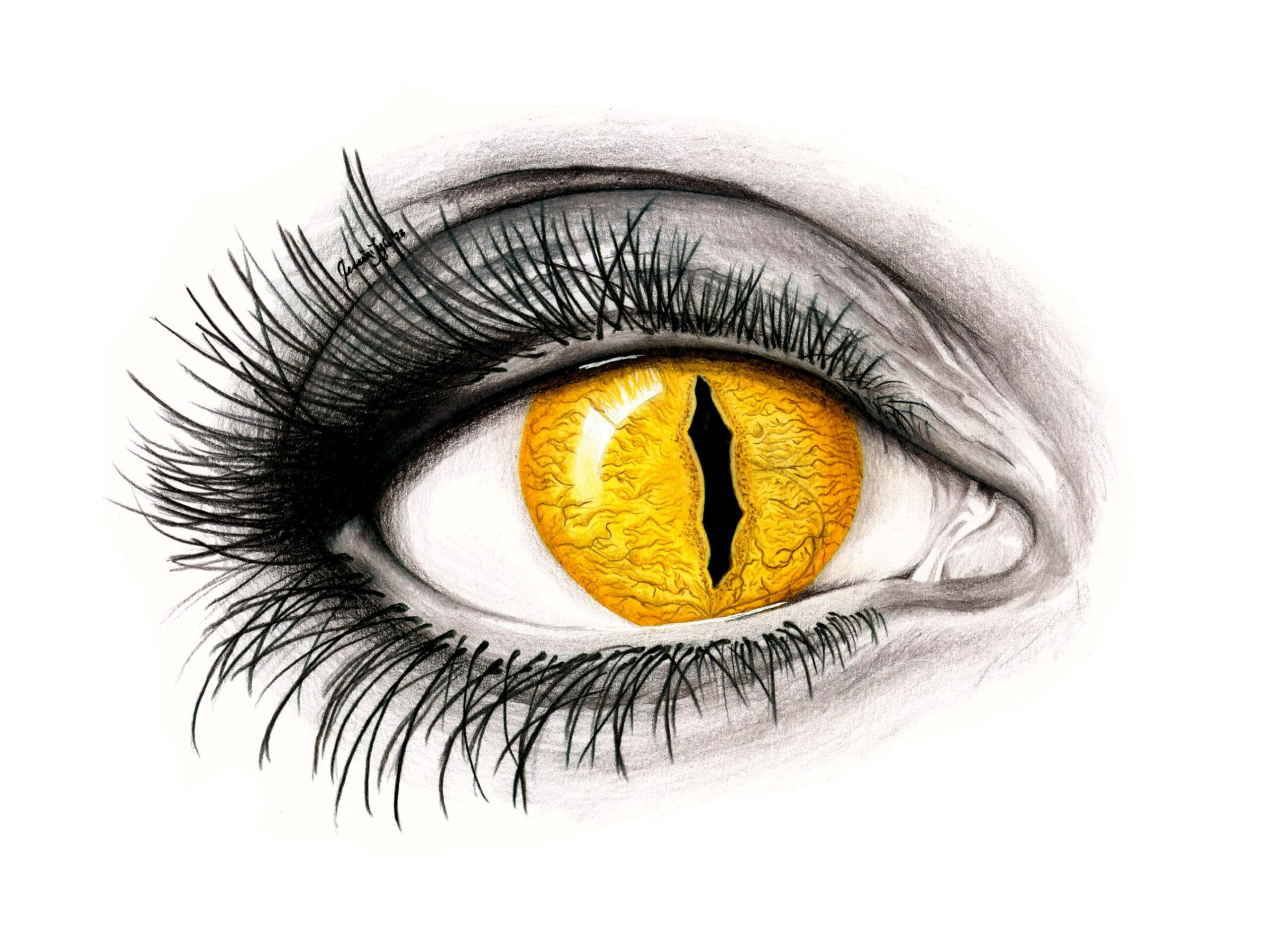 Yellow Eye Drawing - Etsy