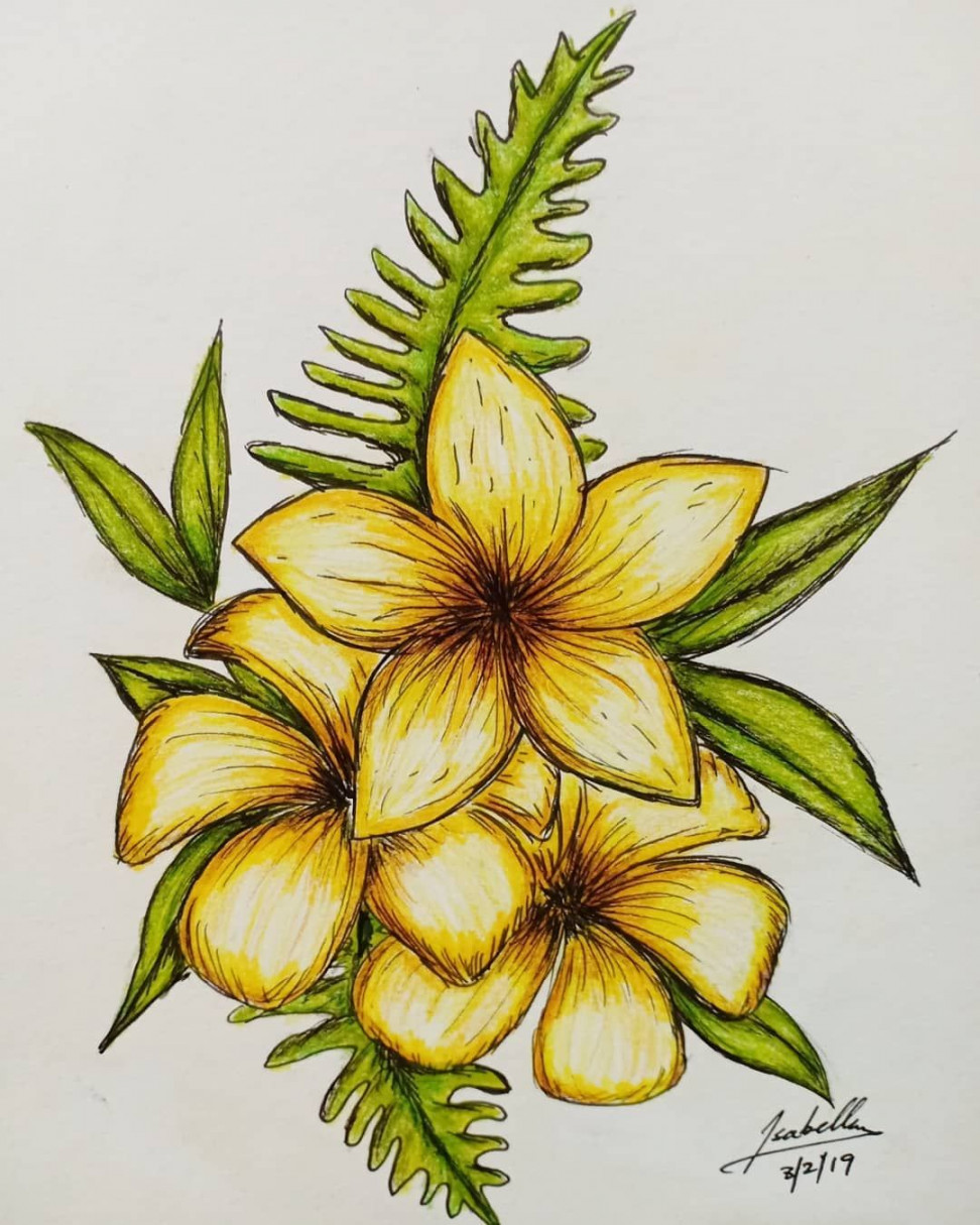 Yellow Flowers  Pencil drawings of flowers, Pencil colour