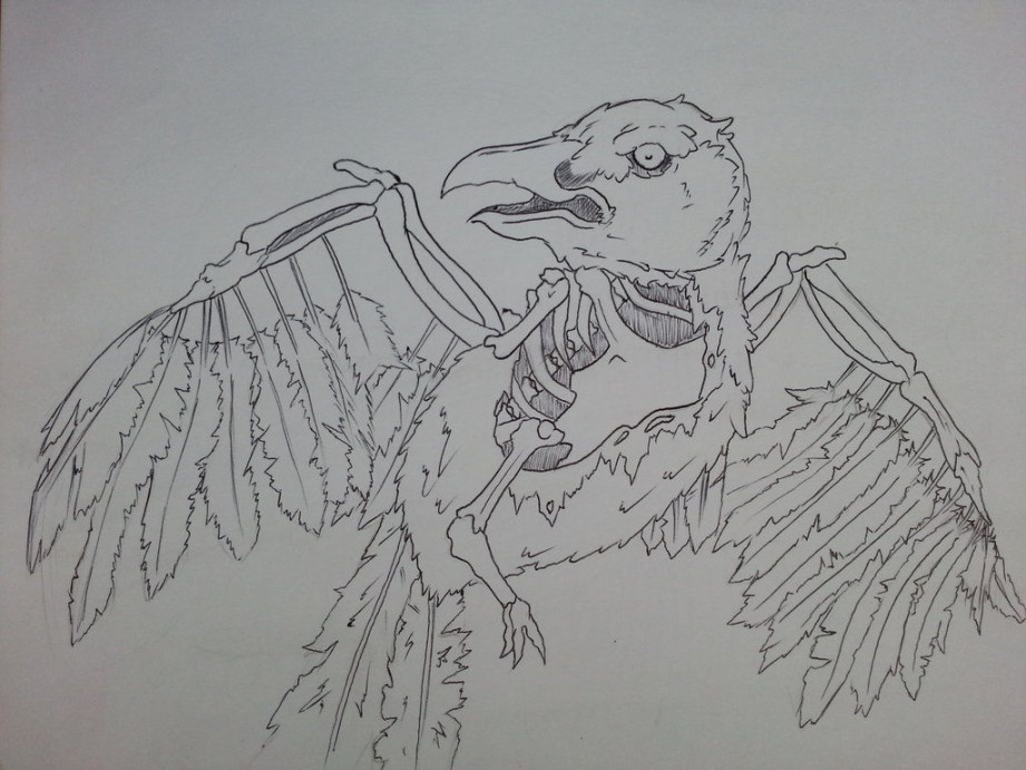 Zombie Crow. Drawing