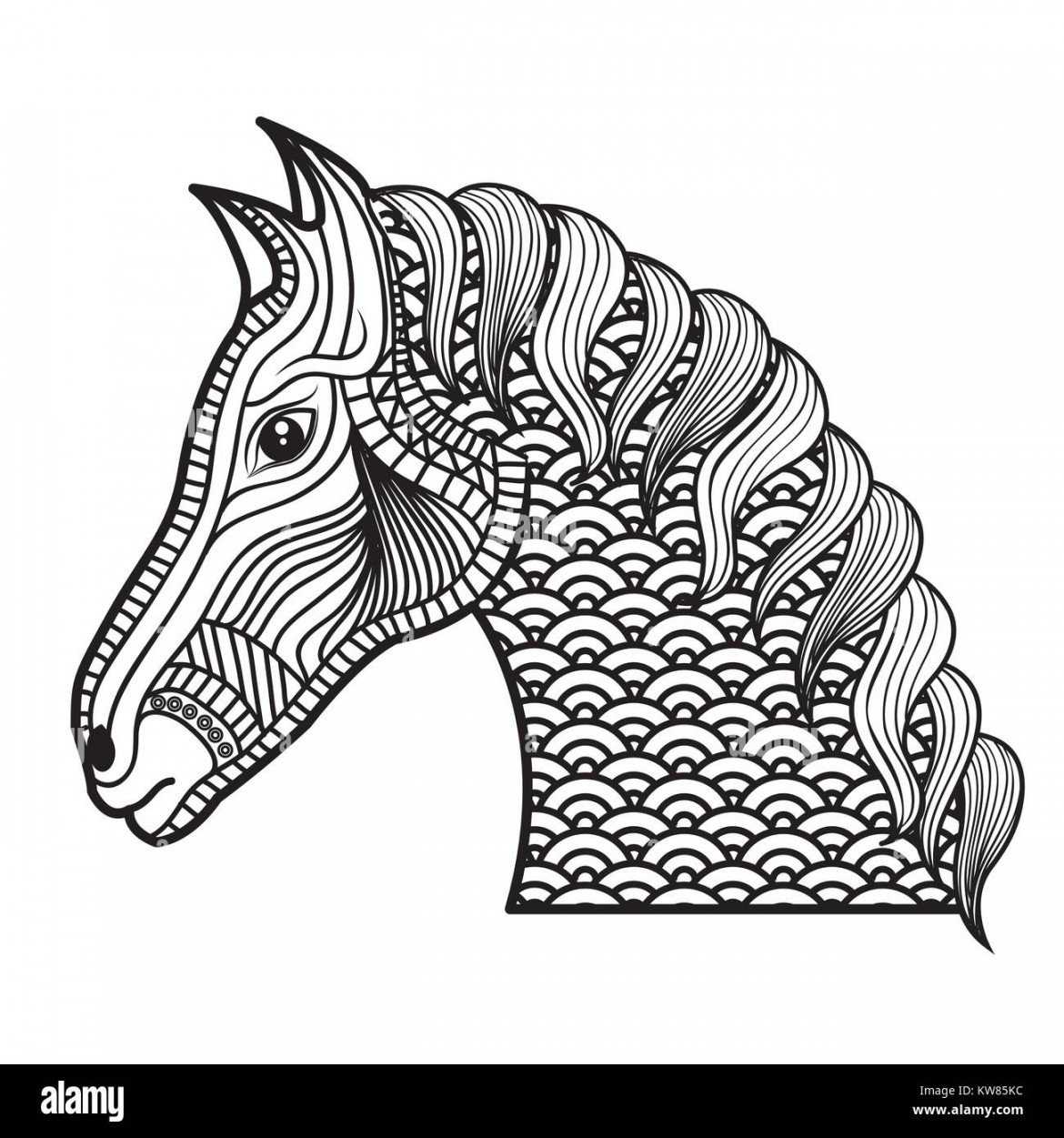 adult coloring monochrome horse drawing vector illustration design