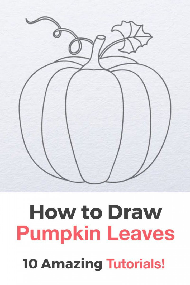 Amazing and Easy Step by Step Tutorials & Ideas on How to Draw