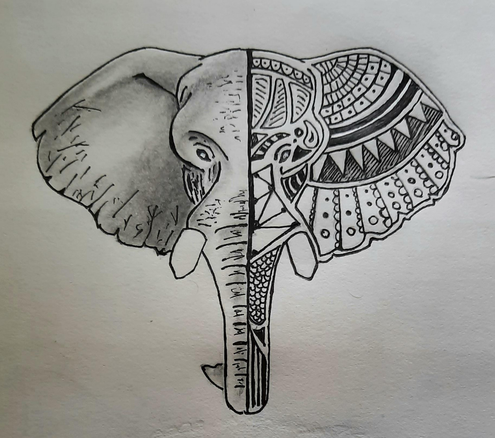 An elephanthalf doodled and half sketched