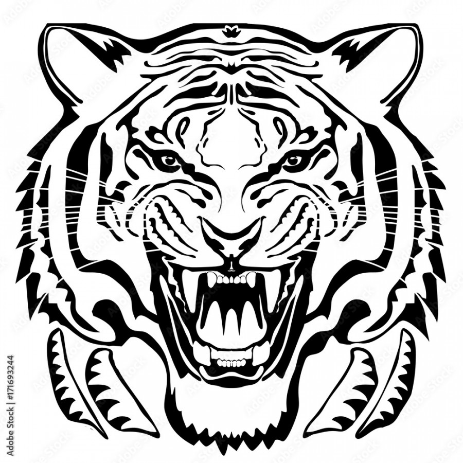 Angry tiger head; hand drawn vector graphic