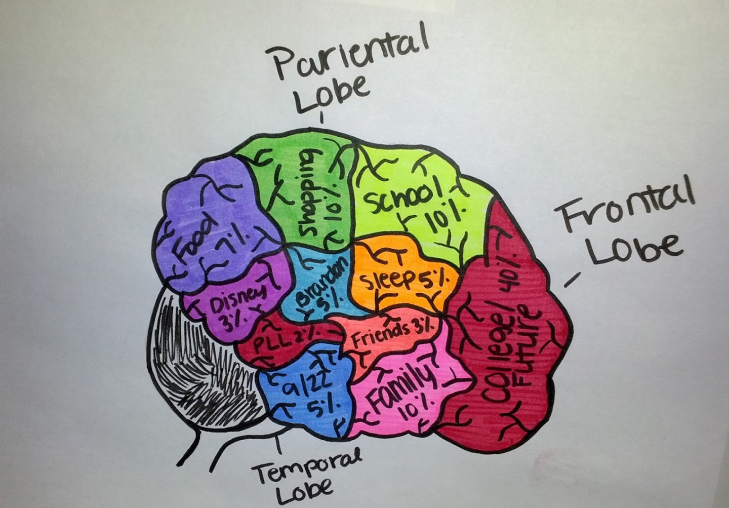 AP Psychology @AHS: Brain Project