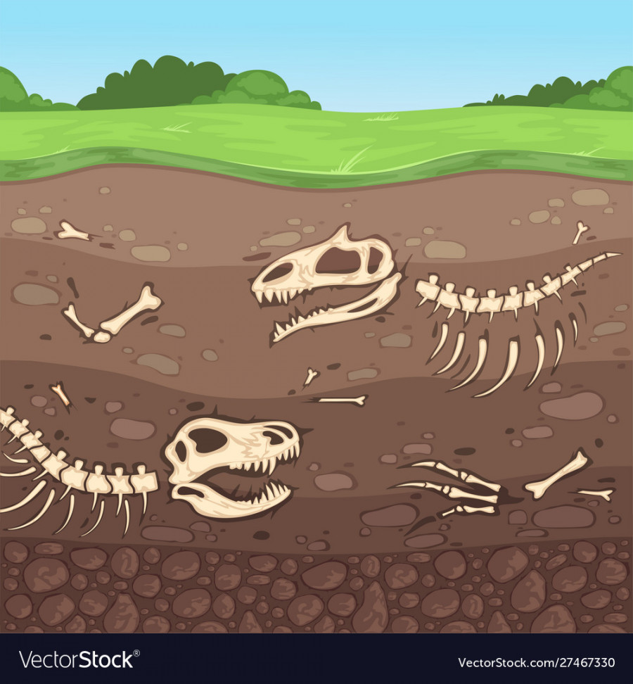 Archeology bones underground dinosaur soil Vector Image