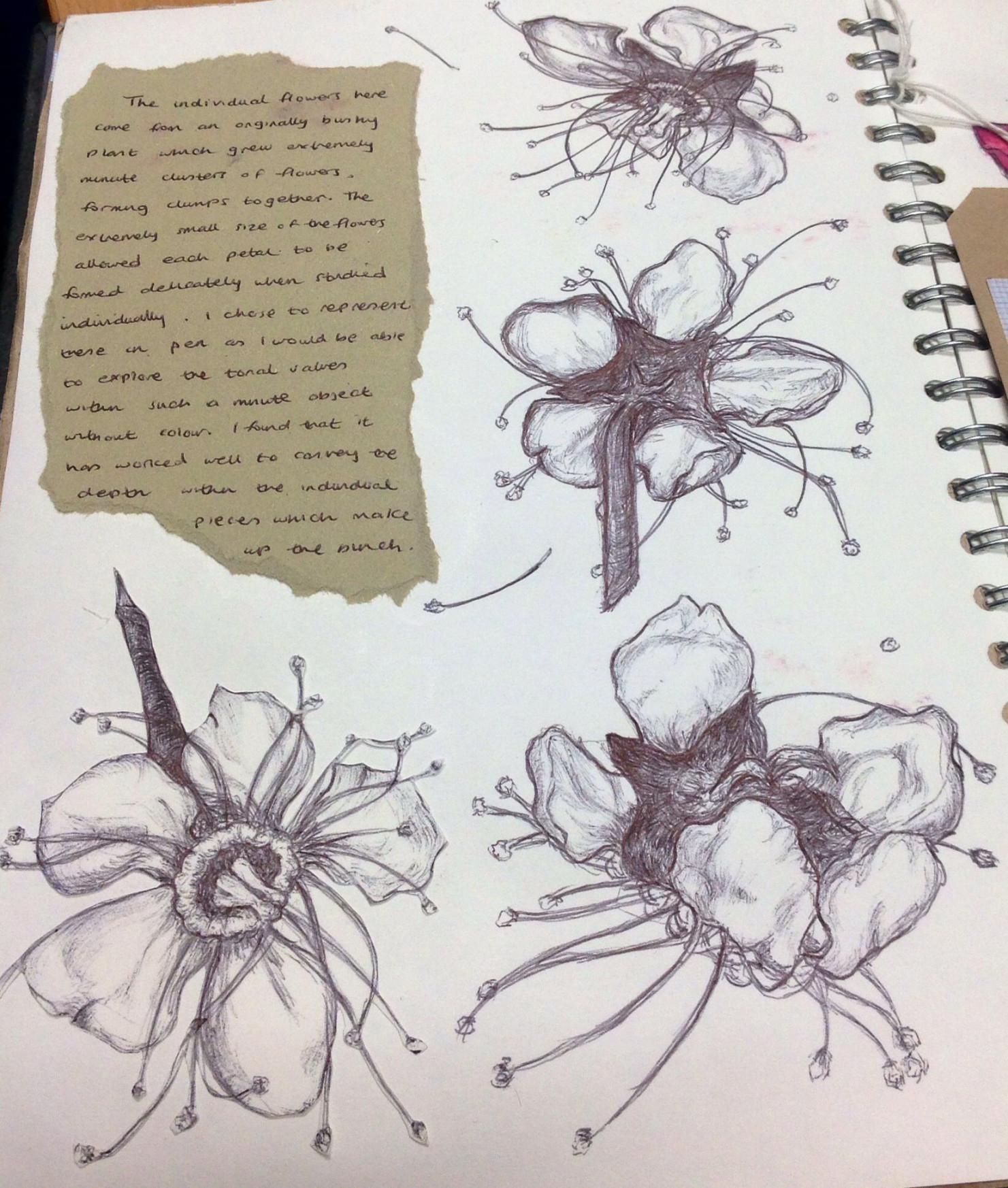 Art Sketchbook with observational drawings of flowers: A-level
