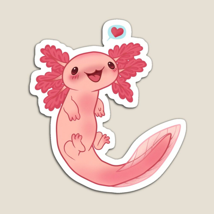 Axolotl cutie" Magnet for Sale by Mary Huff  Axolotl cute, Cute