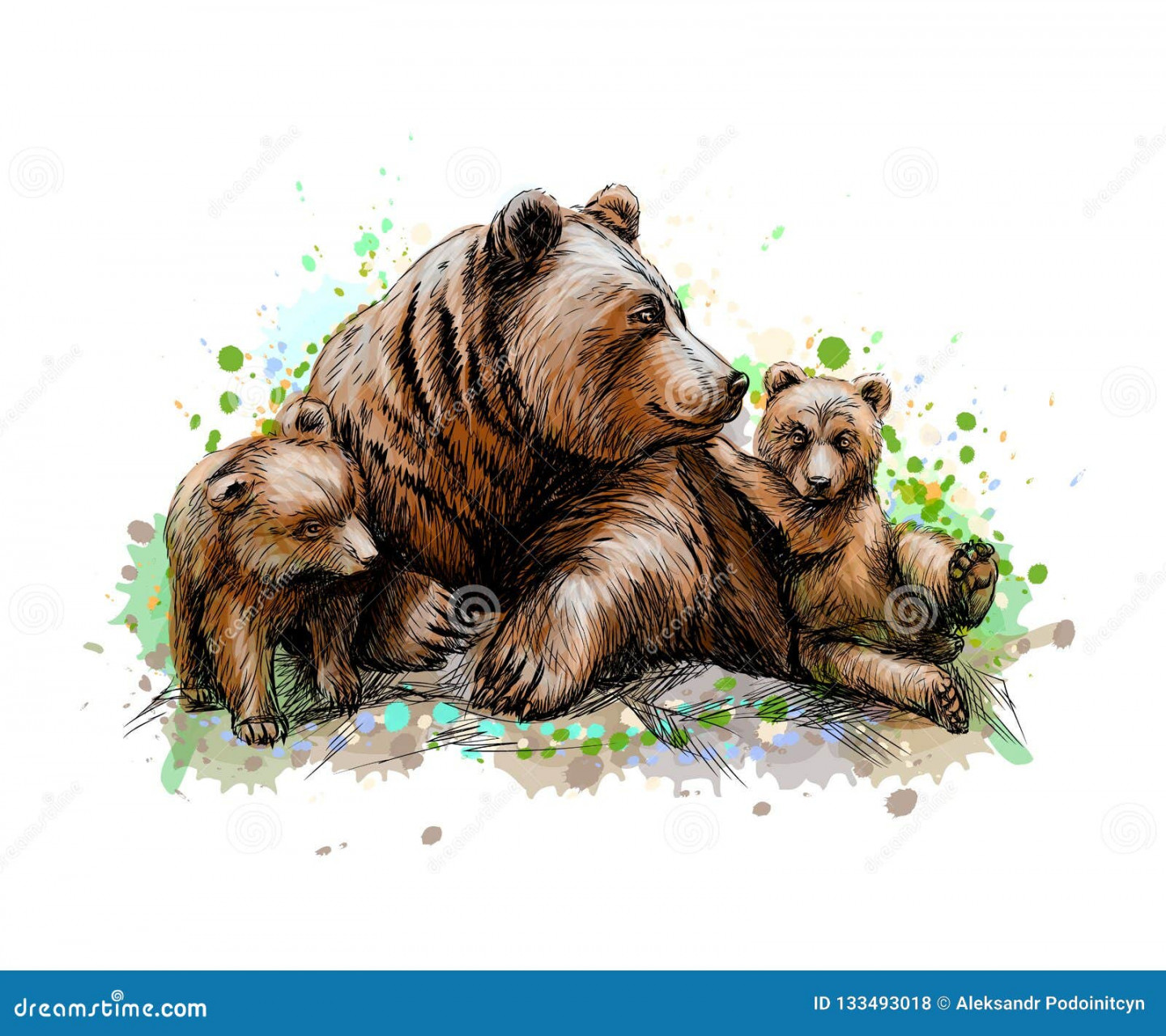 Bear Cubs Stock Illustrations – ,87 Bear Cubs Stock