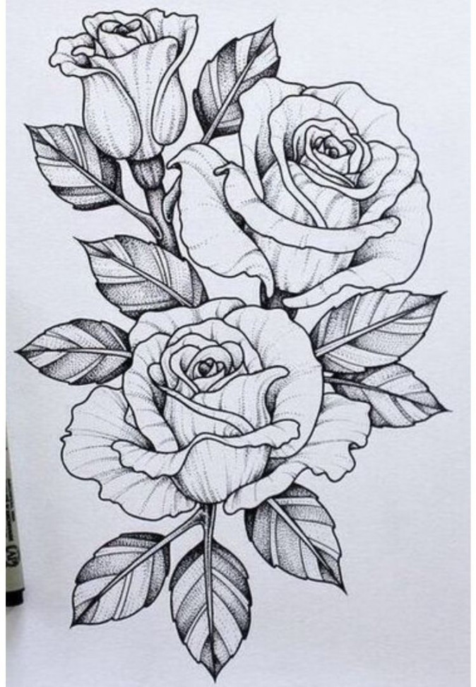 Beautiful Flower Drawing Information & Ideas - Brighter Craft