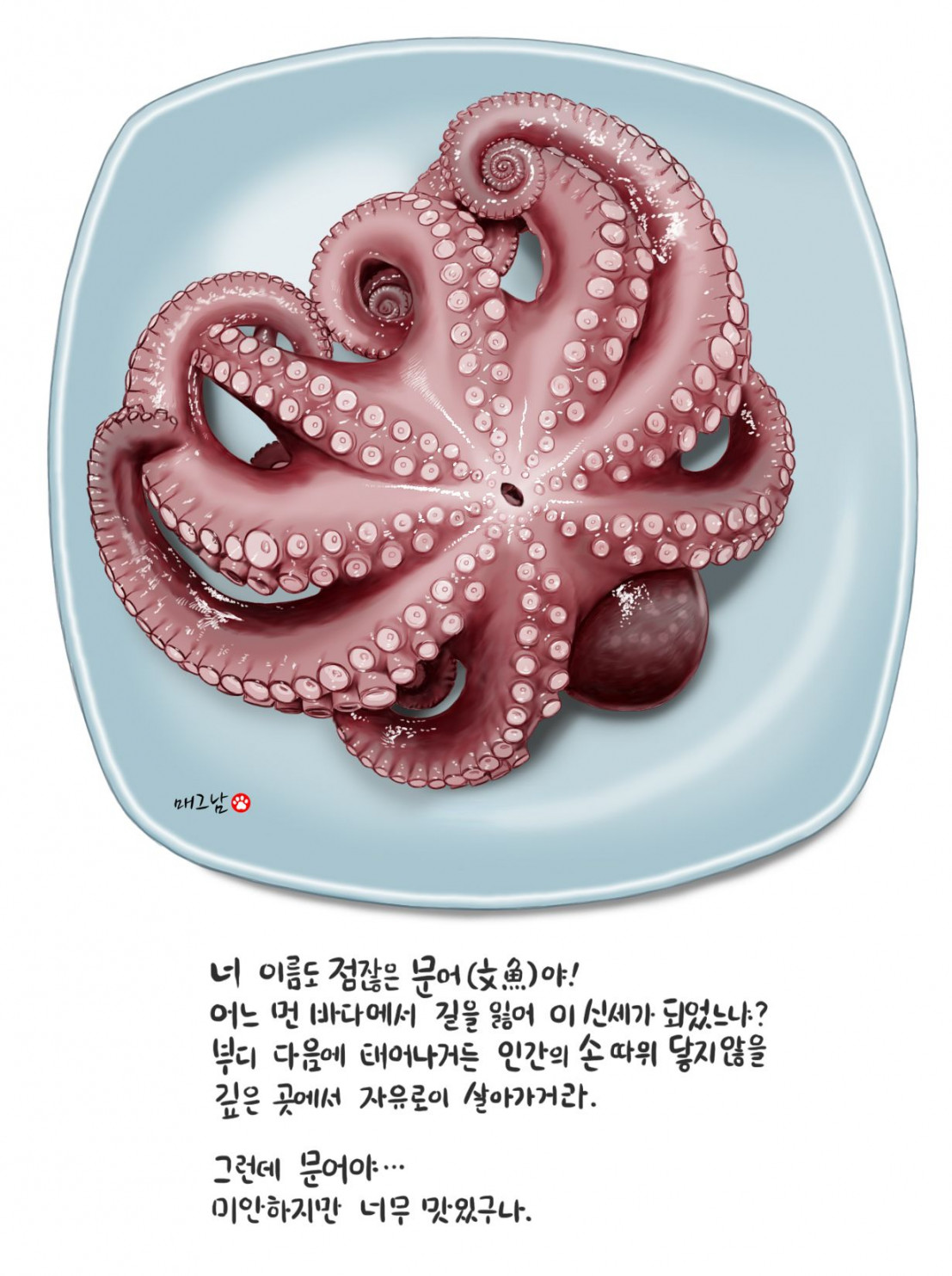 boiled octopus  Thức ăn, Ẩm thực