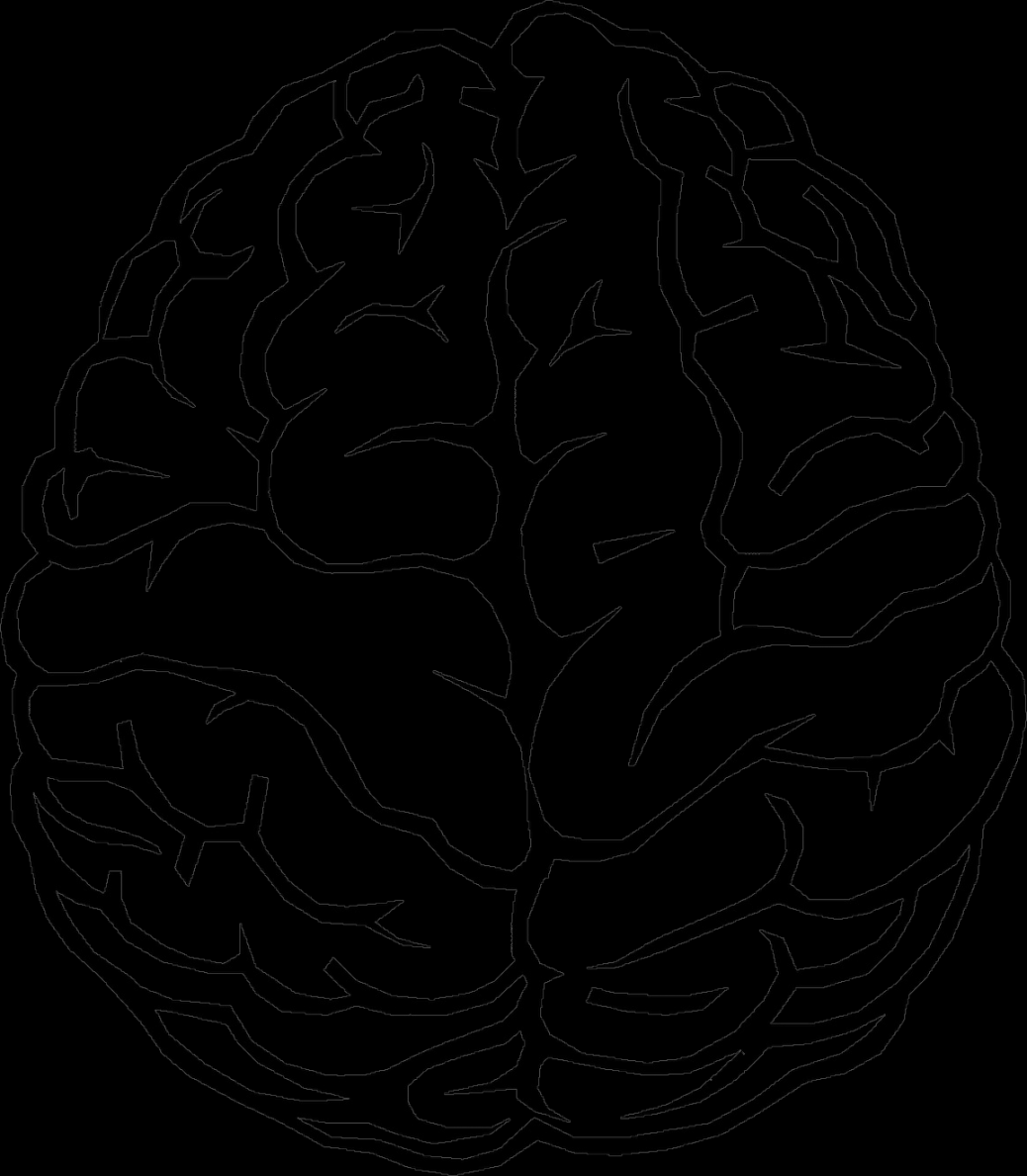 Brain Outline PNG Image  Brain drawing, Drawings, Human brain drawing