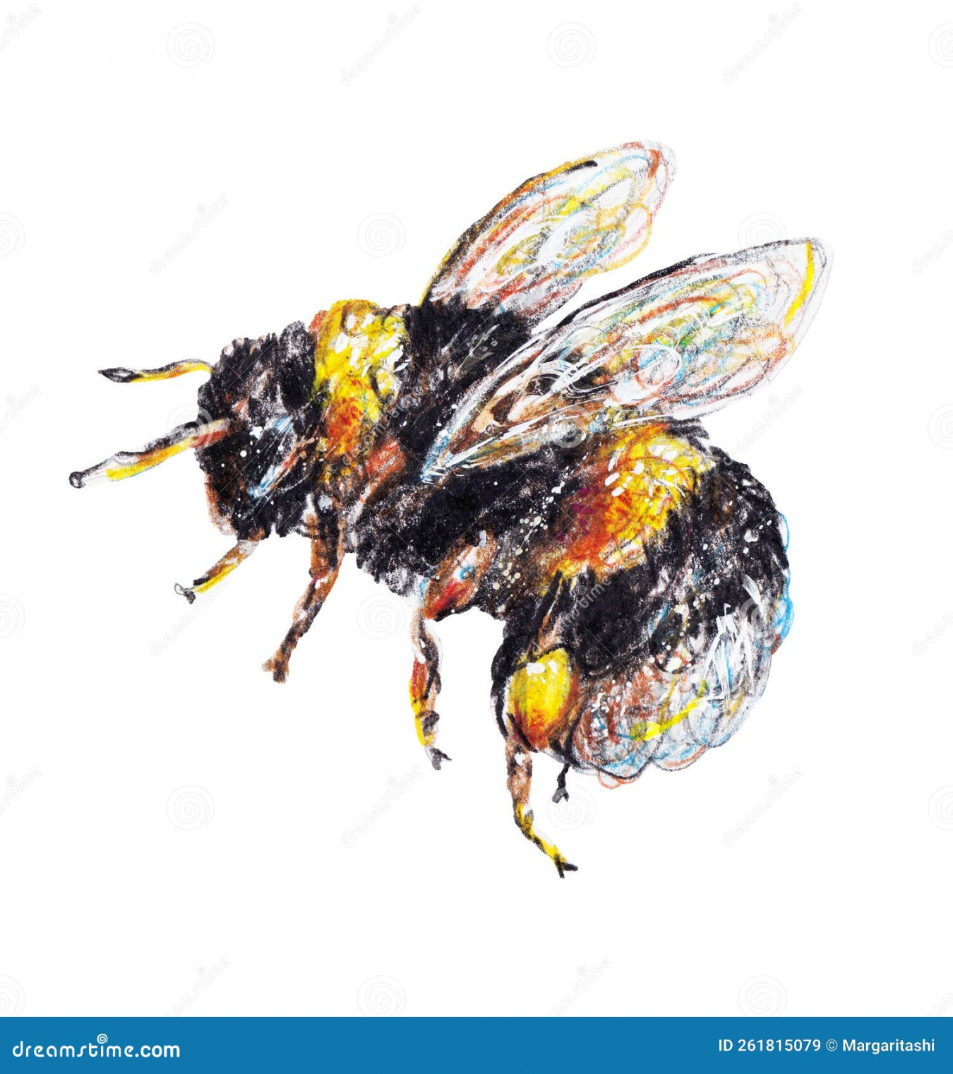 Bumble Bee Side Stock Illustrations –  Bumble Bee Side Stock