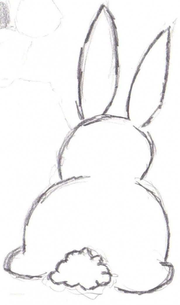 Bunny Outline Drawing drawing Pinterest #animaldrawing  Рисунки