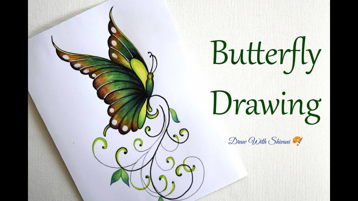 Butterfly Drawing/ How to draw Butterfly in designer form