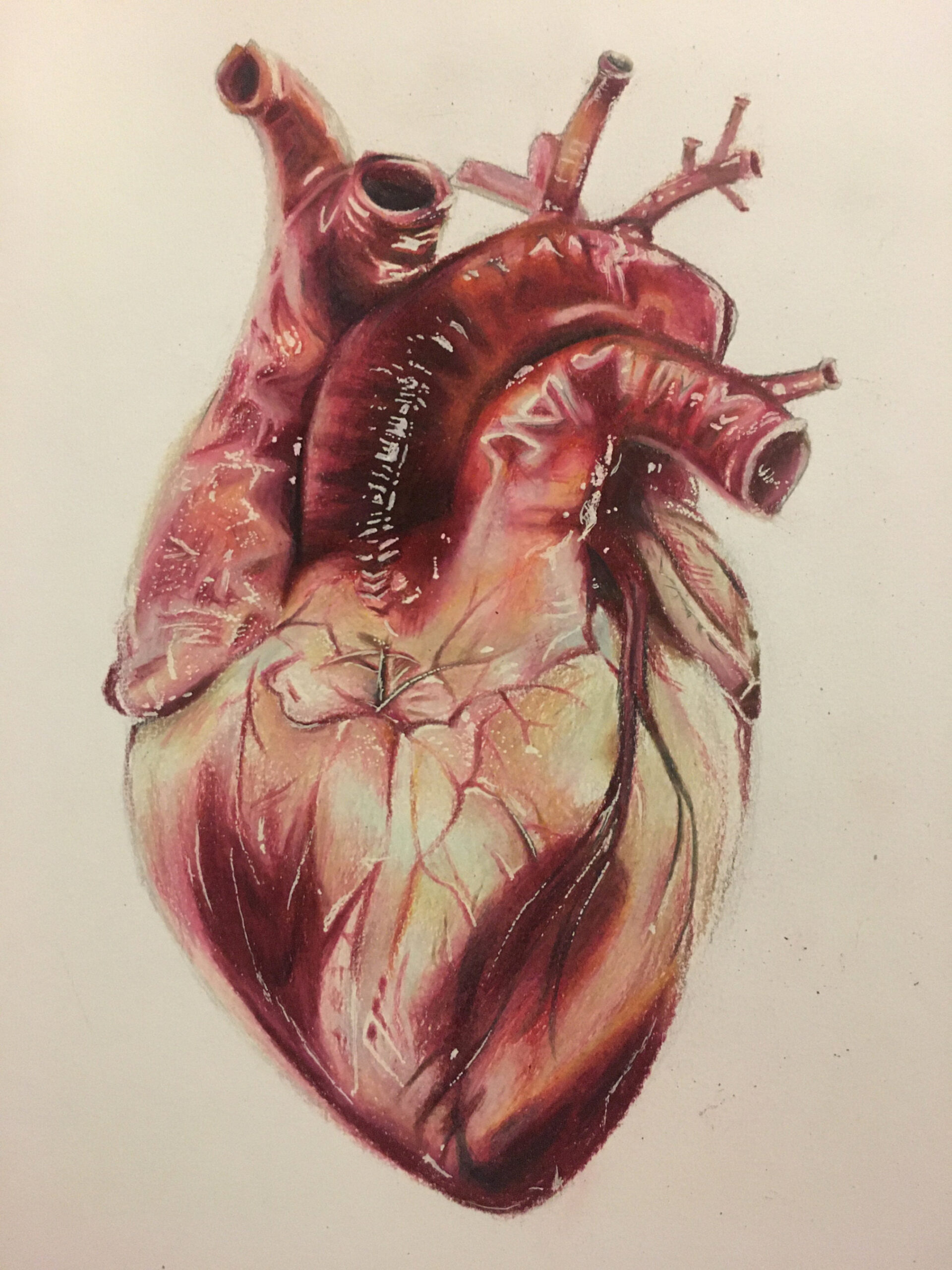 Buy Realistic Heart Drawing Online in India - Etsy