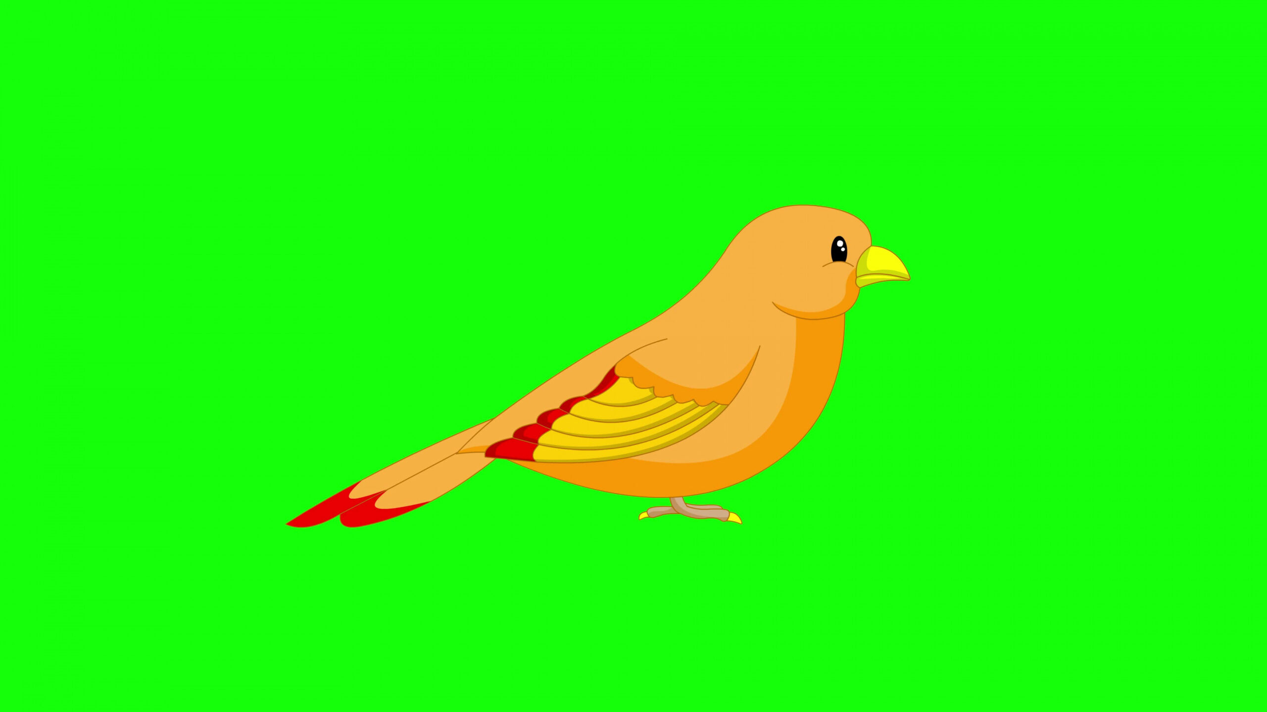 Cartoon Bird Stock Video Footage for Free Download