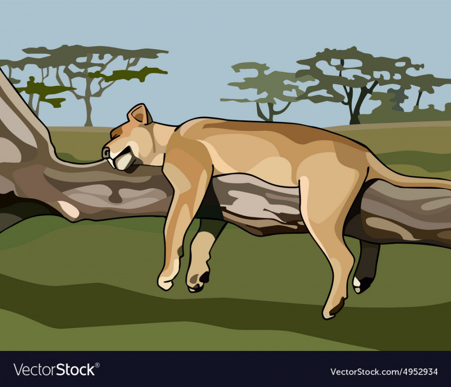 Cartoon lion sleeping on a tree Royalty Free Vector Image