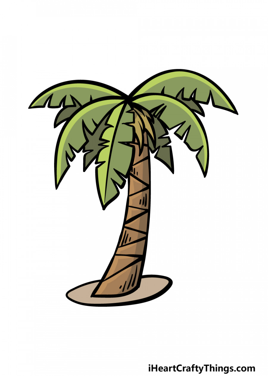 Cartoon Palm Tree Drawing - How To Draw A Cartoon Palm Tree Step