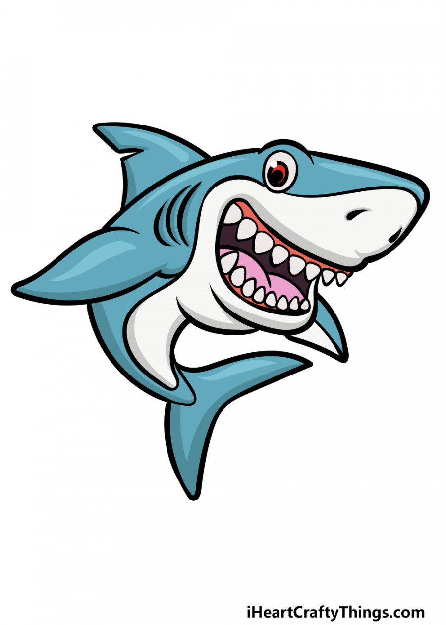 Cartoon Shark Drawing - How To Draw A Cartoon Shark Step By Step